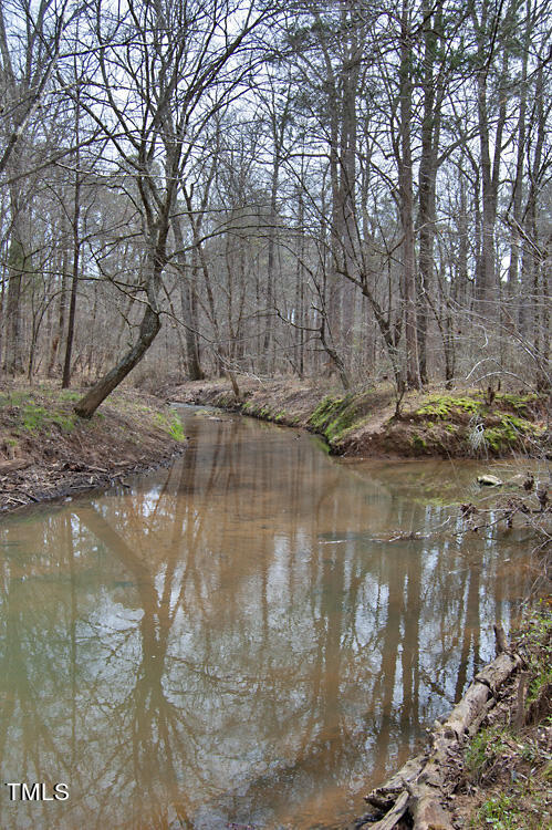 0 Highway 87 Pittsboro, NC 27312 - Photo 63 of 87 DSC_0333