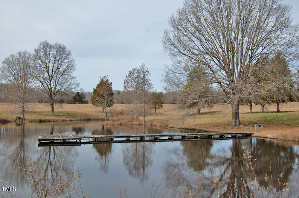 0 Highway 87 Pittsboro, NC 27312 - Photo 64 of 87 DSC_0334
