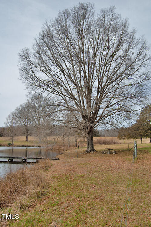 0 Highway 87 Pittsboro, NC 27312 - Photo 72 of 87 DSC_0343
