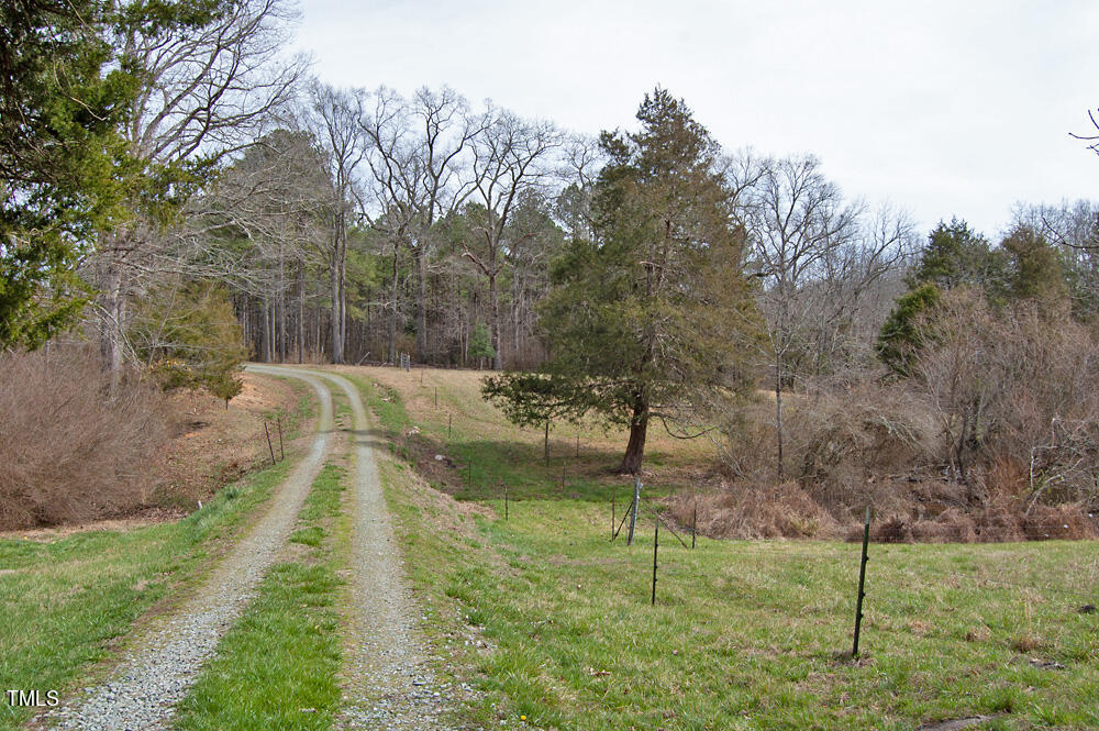 0 Highway 87 Pittsboro, NC 27312 - Photo 76 of 87 DSC_0348