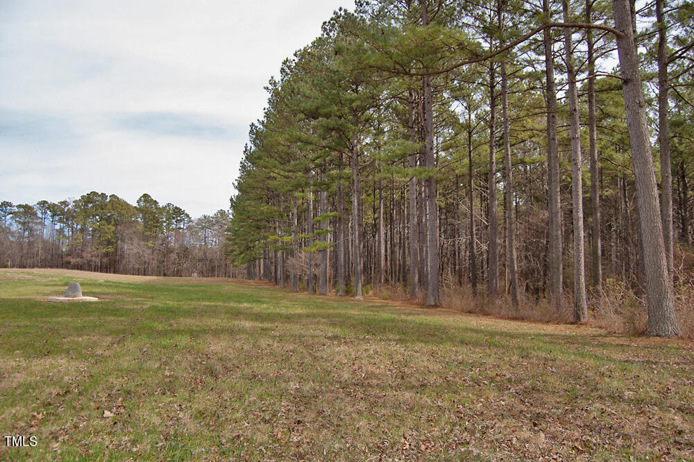 0 Highway 87 Pittsboro, NC 27312 - Photo 78 of 87 DSC_0351