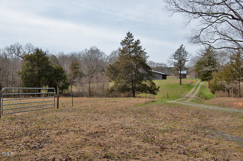0 Highway 87 Pittsboro, NC 27312 - Photo 80 of 87 DSC_0353