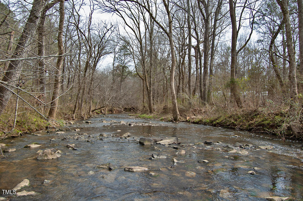 0 Highway 87 Pittsboro, NC 27312 - Photo 81 of 87 DSC_0354