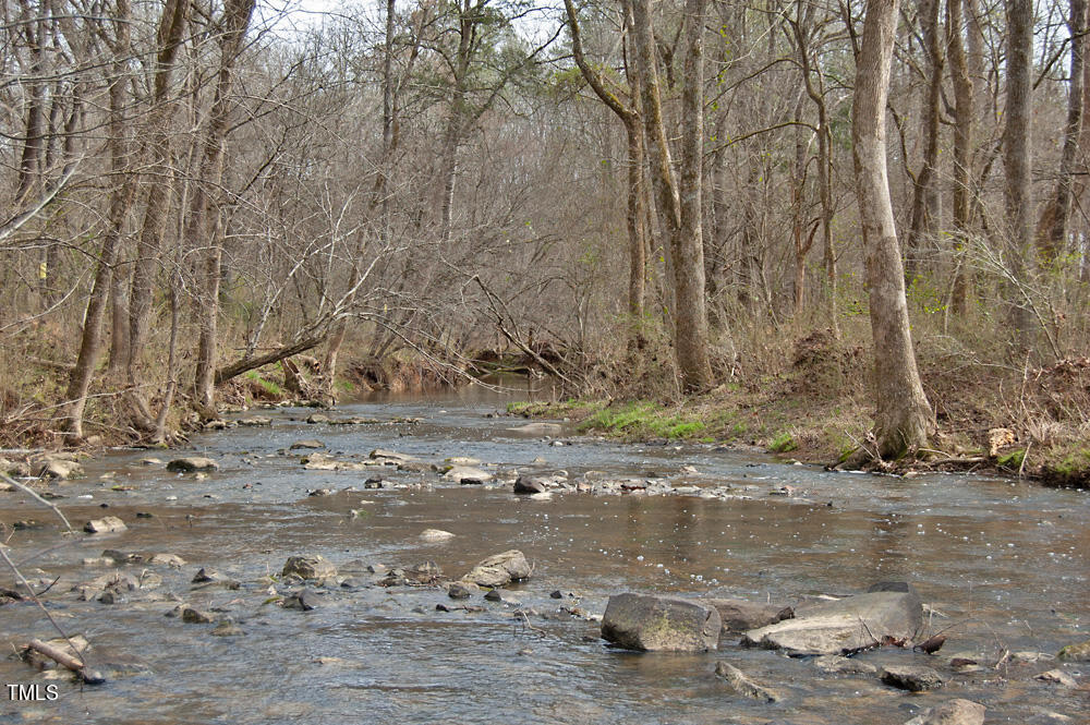 0 Highway 87 Pittsboro, NC 27312 - Photo 82 of 87 DSC_0355