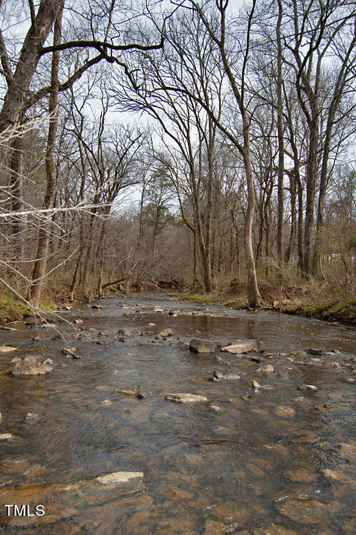 0 Highway 87 Pittsboro, NC 27312 - Photo 83 of 87 DSC_0356