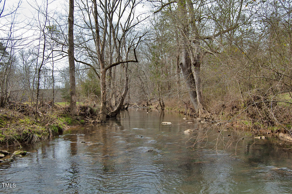 0 Highway 87 Pittsboro, NC 27312 - Photo 84 of 87 DSC_0359