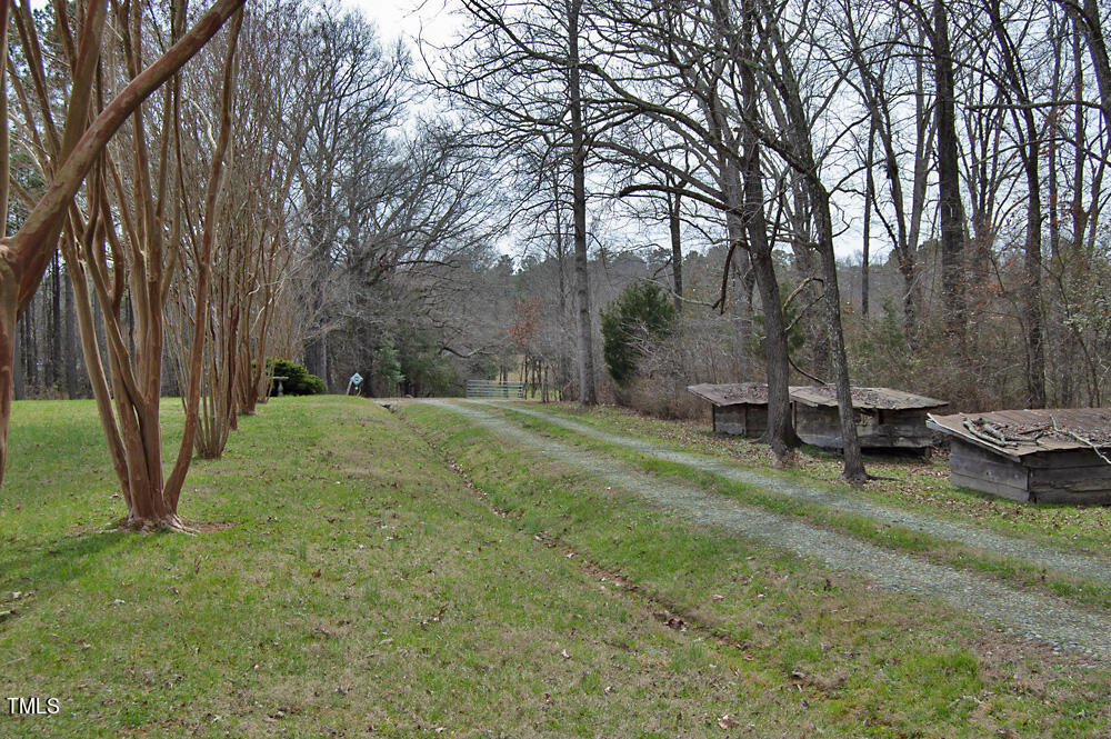 0 Highway 87 Pittsboro, NC 27312 - Photo 86 of 87 DSC_0361