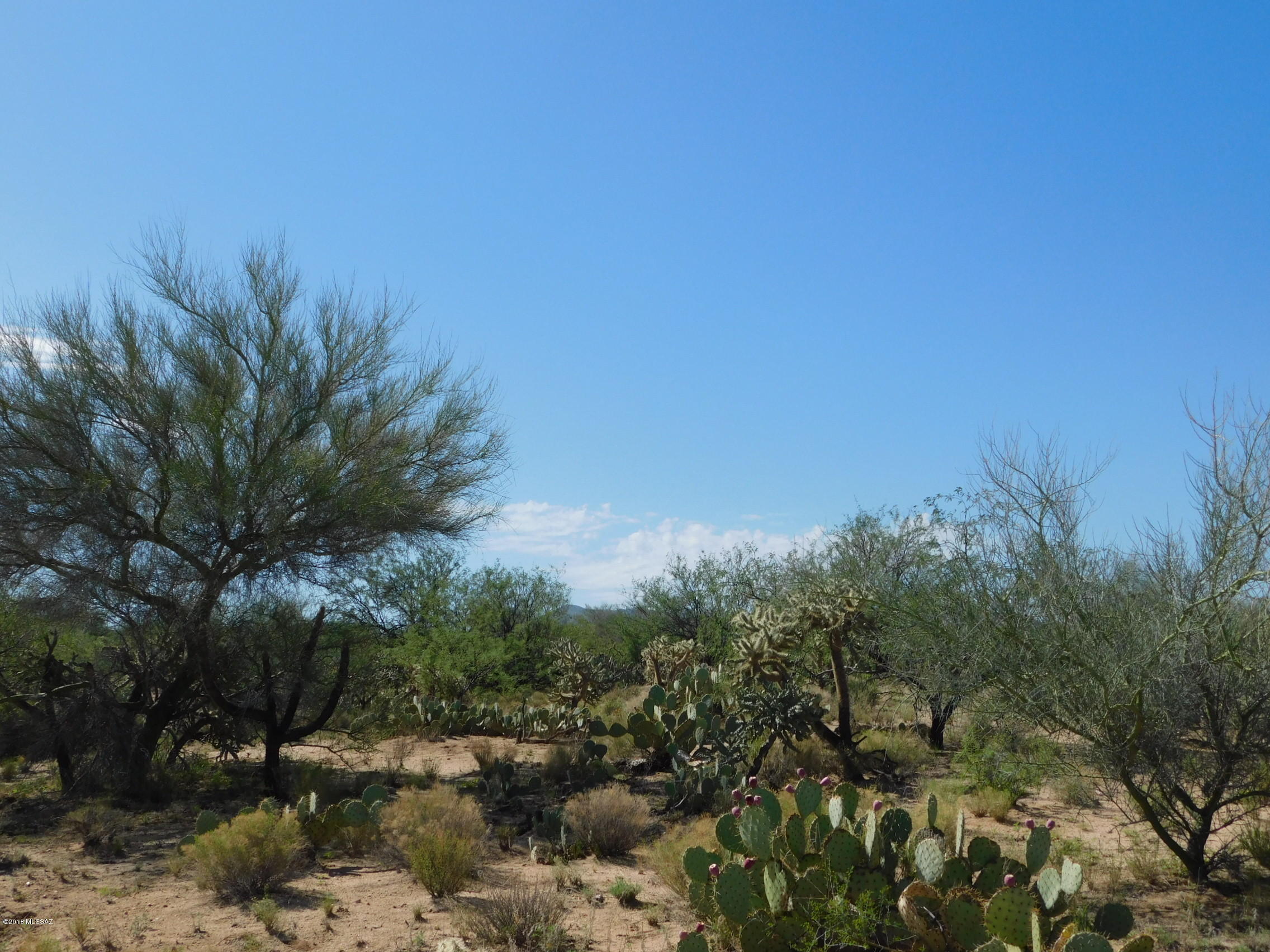 13550 Moeur Road, Unit 252/4 Tucson, AZ 85736 - Photo 2 of 9