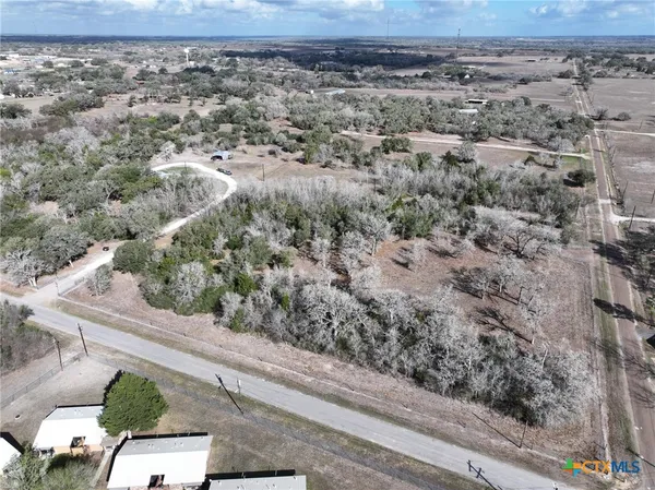 a big white house with a large tree in front of it