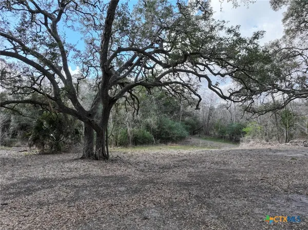 a view of a dry yard with wooden floor