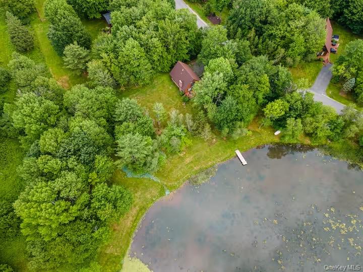 33 South Liberty Road Liberty, NY 12754 - Photo 2 of 12 a close up of a plant in a garden