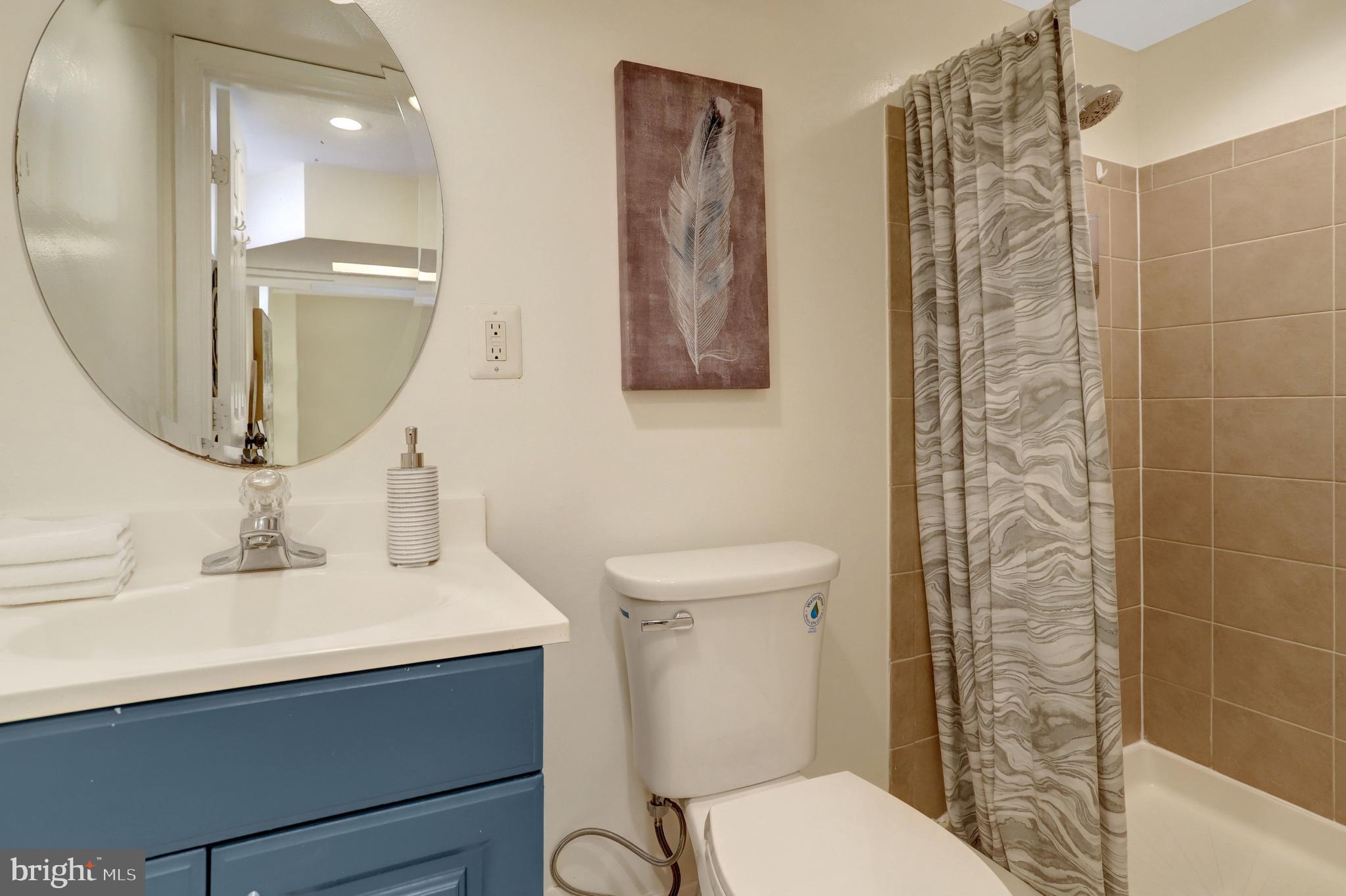 2137 South Pollard Street Arlington, VA 22204 - Photo 19 of 57 a bathroom with a sink a toilet and shower