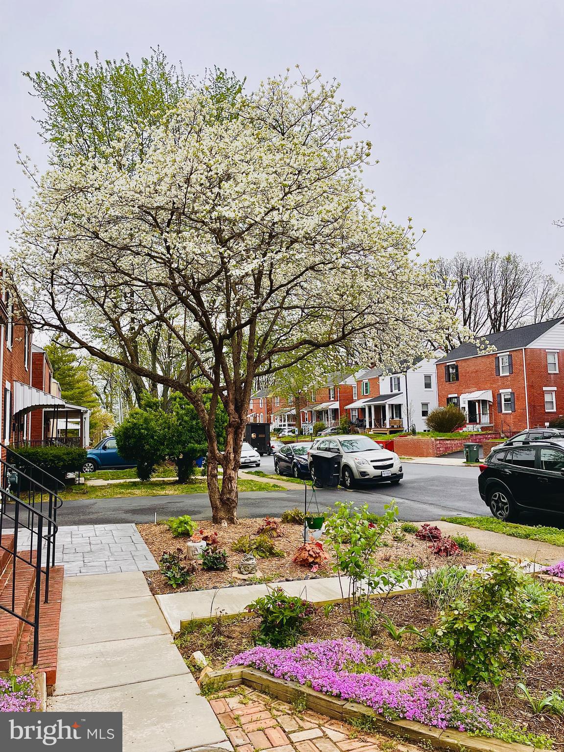 2137 South Pollard Street Arlington, VA 22204 - Photo 31 of 57 a front view of a building with cars parked
