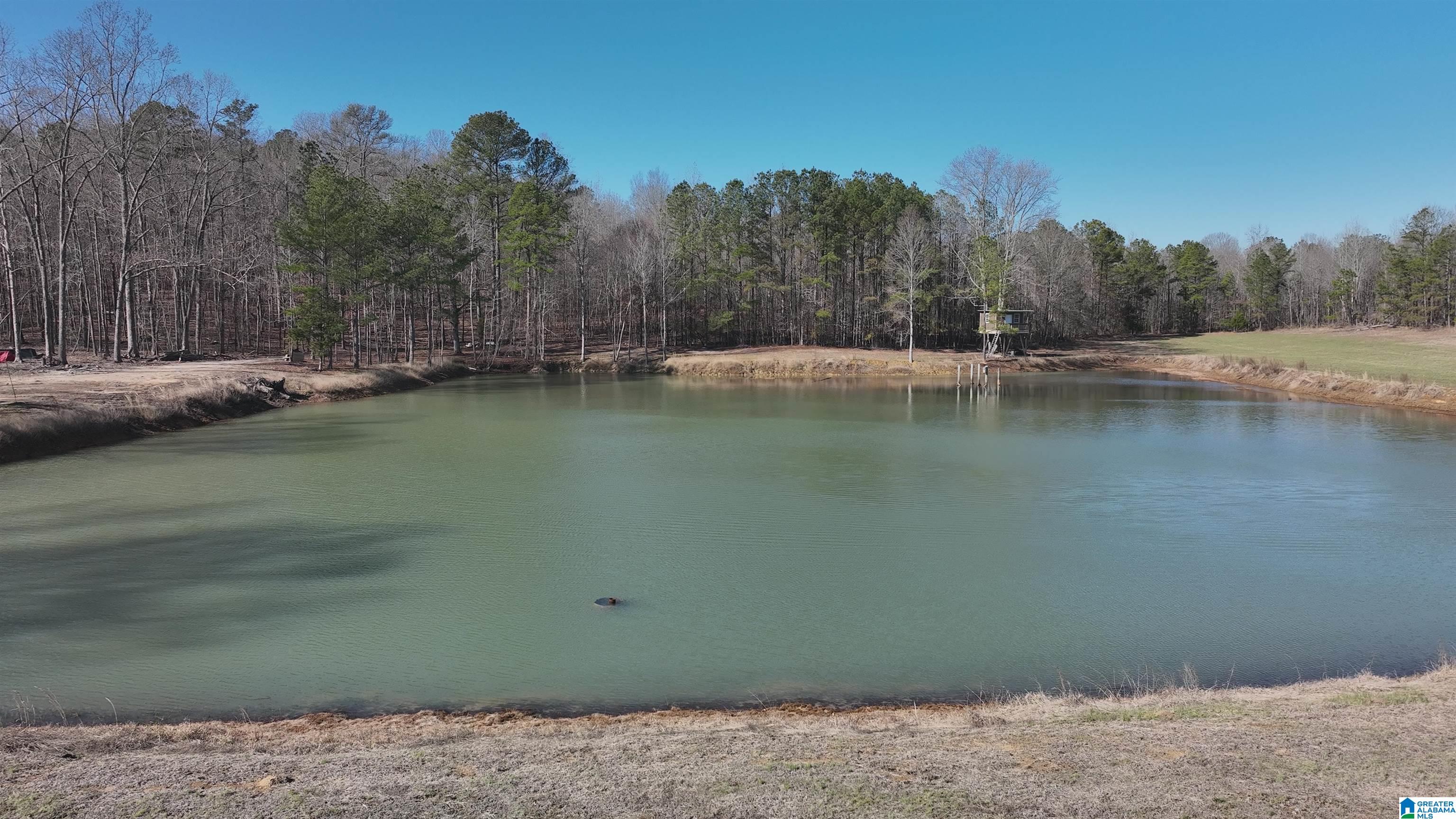 6171 Highway 102, Unit 1 Fayette, AL 35555 - Photo 10 of 68