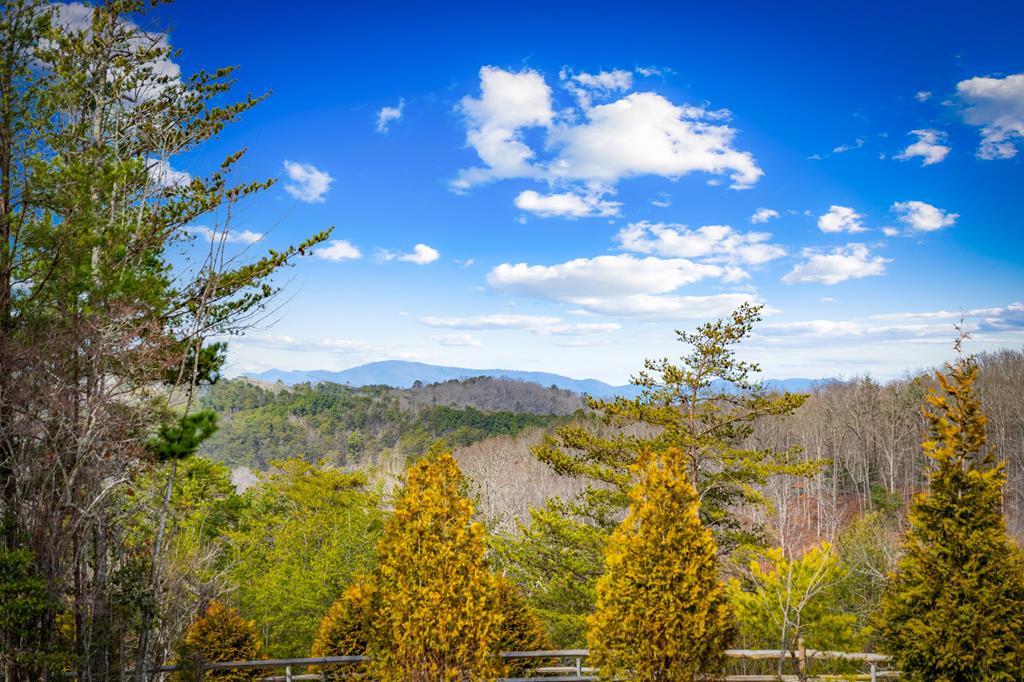 360 Hope Drive Blue Ridge, GA 30513 - Photo 35 of 92