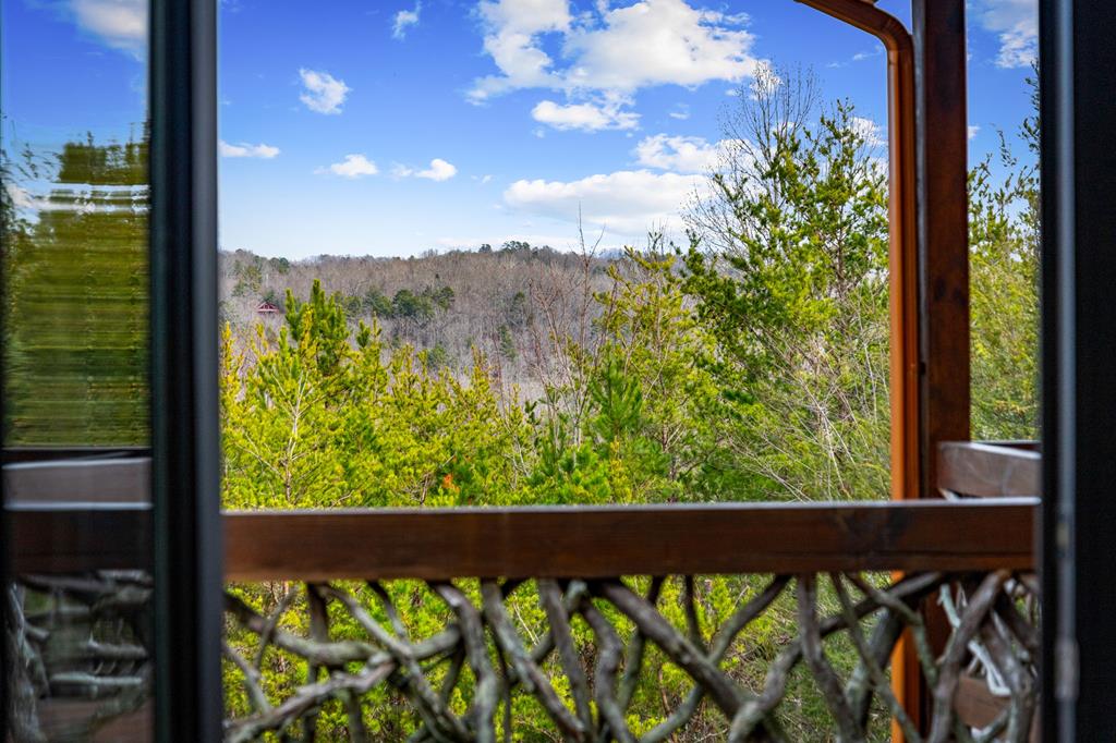 360 Hope Drive Blue Ridge, GA 30513 - Photo 42 of 92