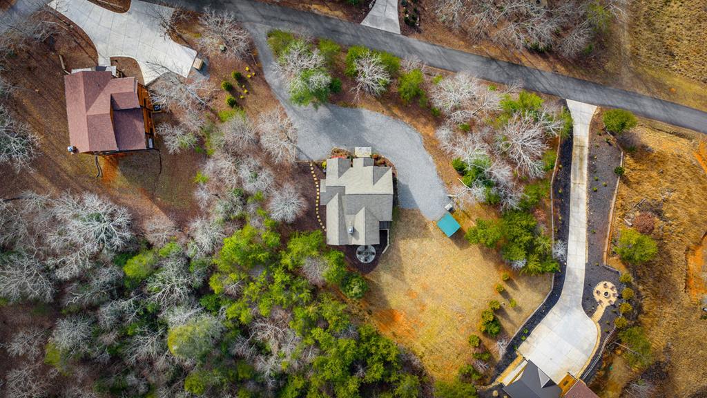 360 Hope Drive Blue Ridge, GA 30513 - Photo 90 of 92