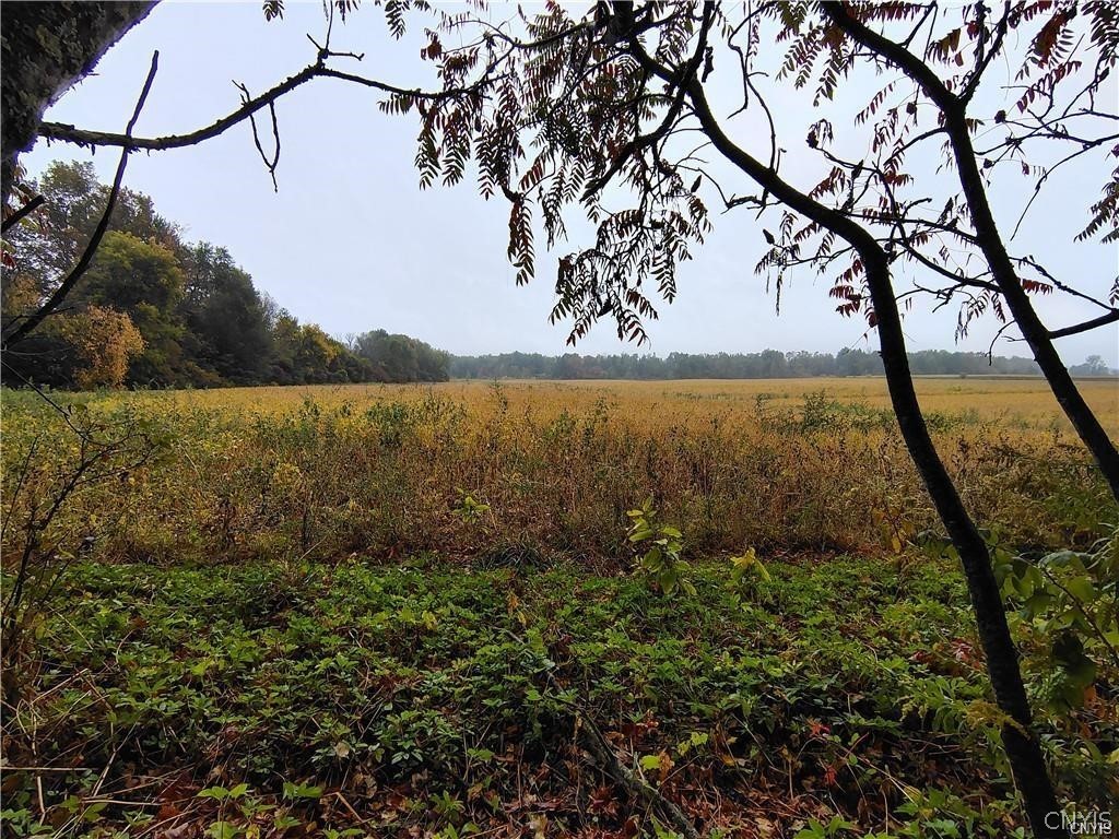 6068 Shed Road Westmoreland, NY 13440 - Photo 42 of 43