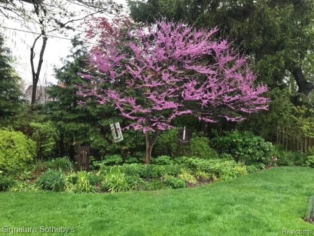 180 Merriweather Road Grosse Pointe, MI 48236 - Photo 39 of 51 IMG_0003.JPG