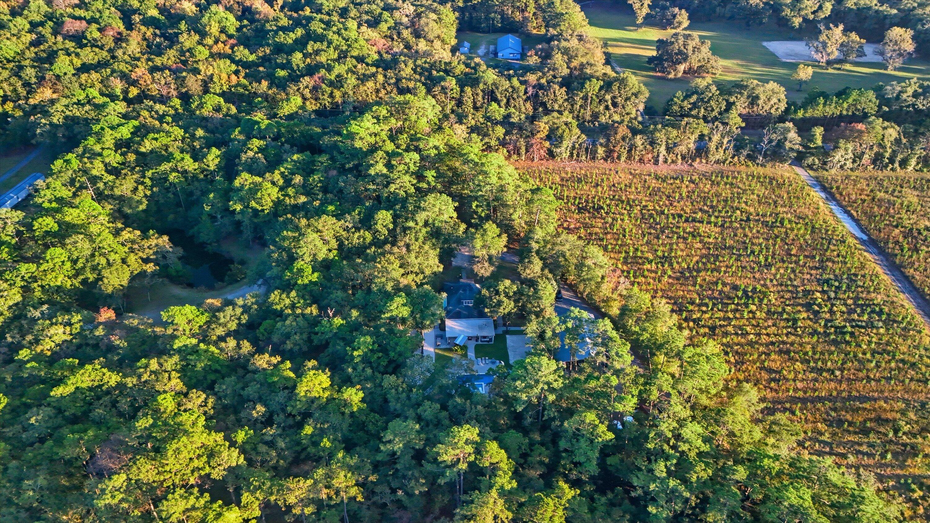 5864 Bears Bluff Road Wadmalaw Island, SC 29487 - Photo 32 of 34 59-013_DJI_20251020175827_0038_D