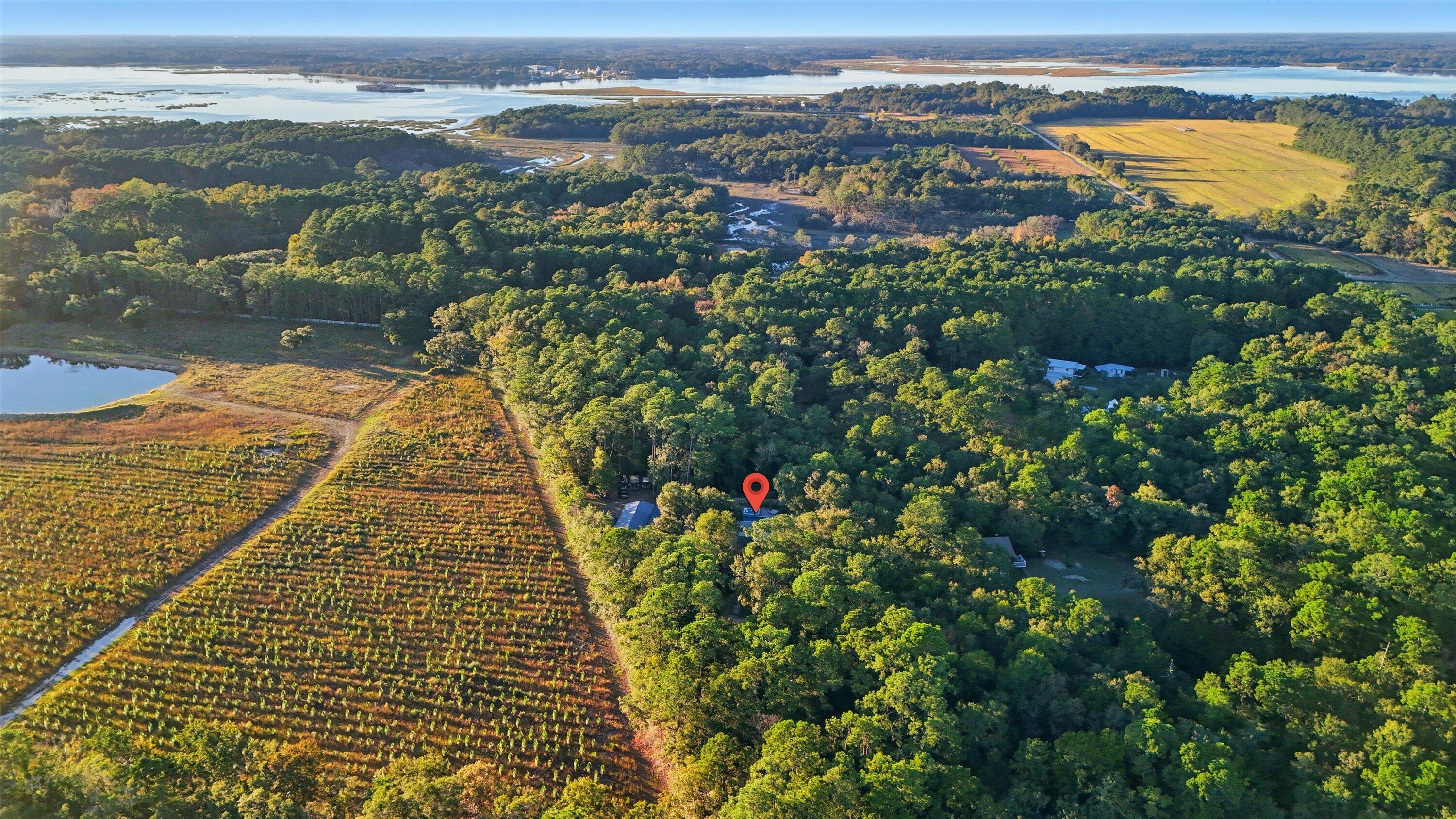 5864 Bears Bluff Road Wadmalaw Island, SC 29487 - Photo 33 of 34 69-016_DJI_20251020175954_0047_D_1