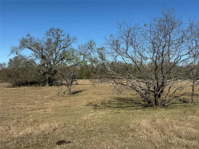 a view of dirt yard with a tree