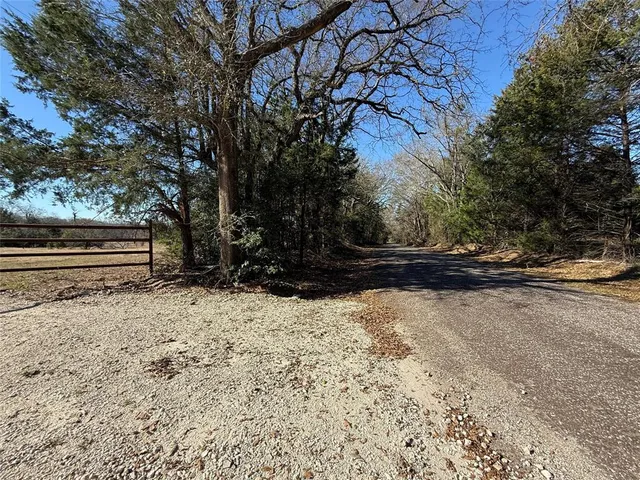 a view of ocean beach with large trees