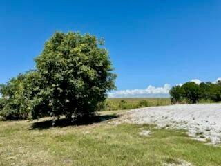 5646 Highway 441 Okeechobee, FL 34974 - Photo 4 of 11 4