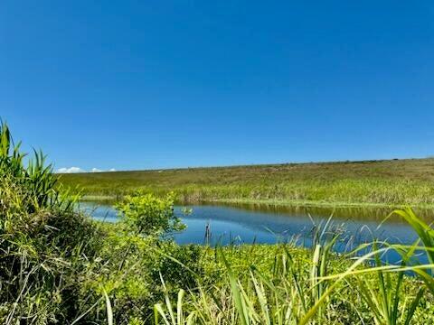 5646 Highway 441 Okeechobee, FL 34974 - Photo 8 of 11 8