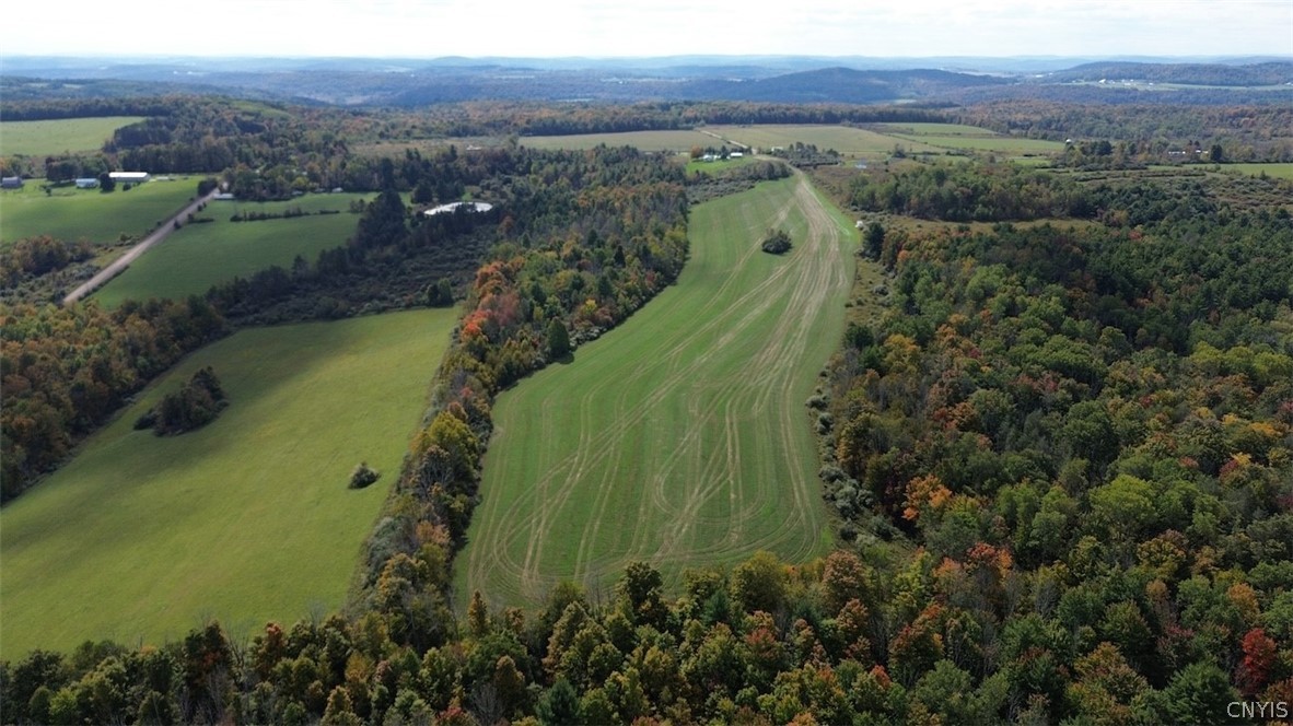 Learn Road Cameron Mills, NY 14820 - Photo 38 of 40 Gallery Image 38