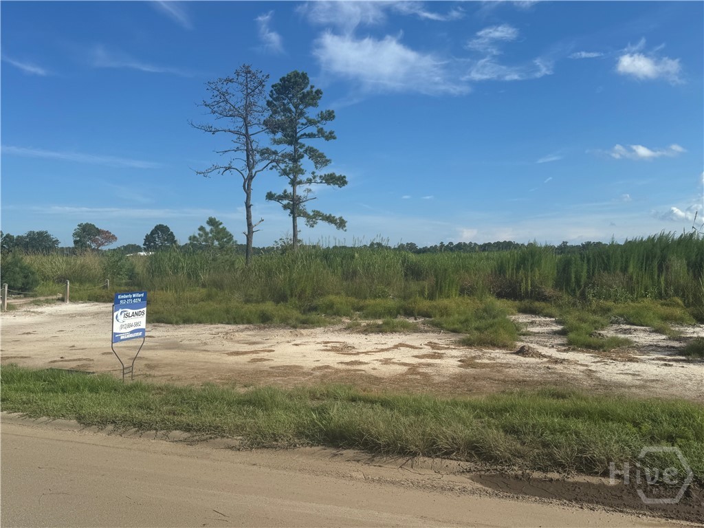 Lot 25 Jerico Marsh Road Midway, GA 31320 - Photo 3 of 7