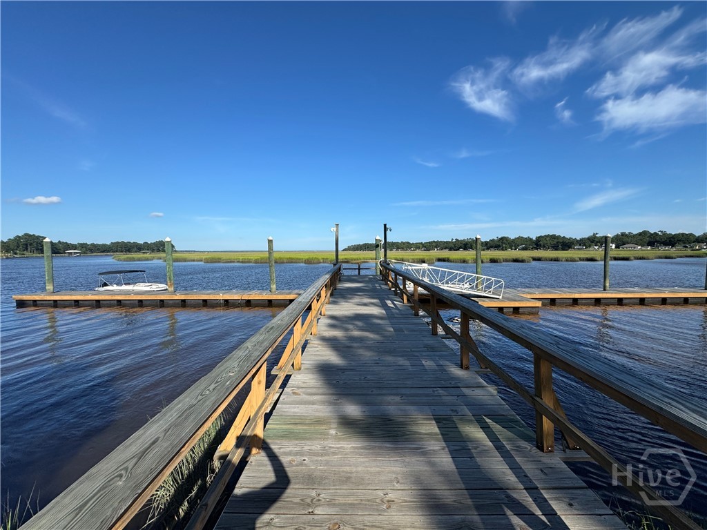 Lot 25 Jerico Marsh Road Midway, GA 31320 - Photo 7 of 7 Community dock with cameras