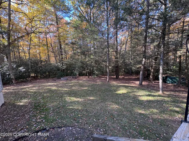 a view of a tree in the middle of a yard