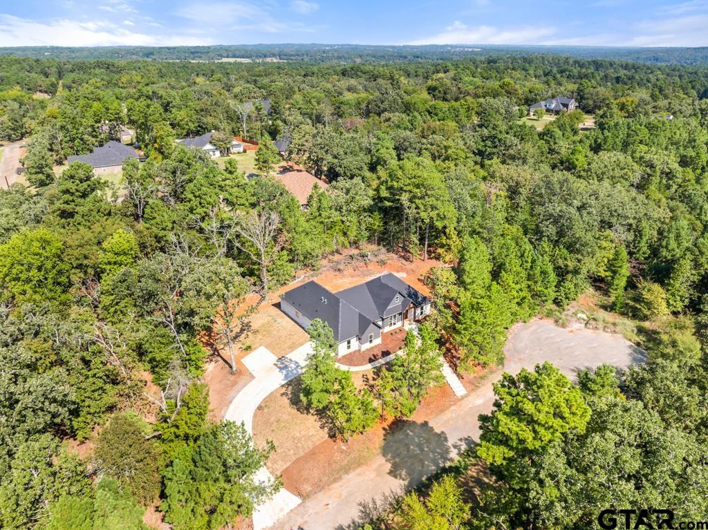 15837 Stillwaters Lindale, TX 75771 - Photo 32 of 34 view of a city with an outdoor space