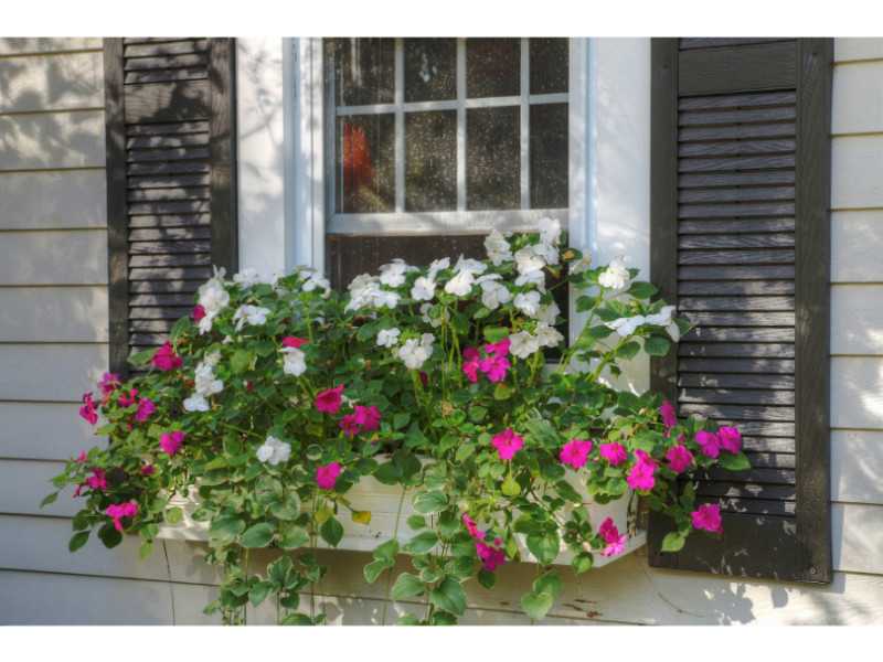 101 Walnut Road Barrington, RI 02806 - Photo 3 of 22 Exterior Front.