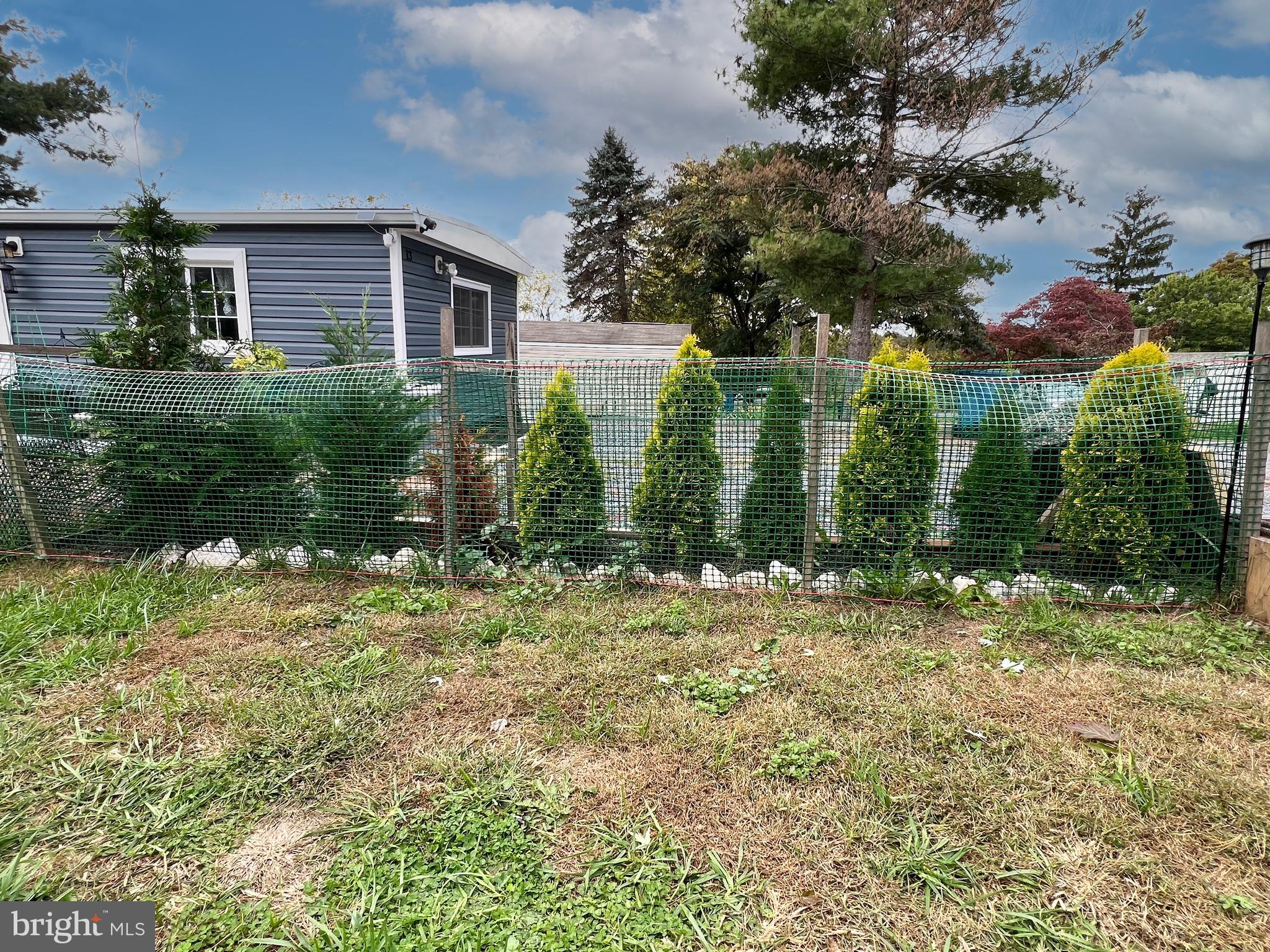 4328 Ridge Road, Unit 13 Mount Airy, MD 21771 - Photo 31 of 35 Privacy Trees