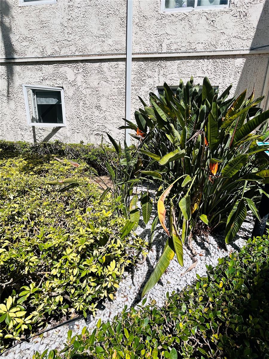 8603 Southwest 68th Court, Unit 22 Miami, FL 33156 - Photo 28 of 49 a close up of a plant in a garden