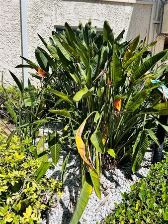 $1,675 | 8603 Southwest 68th Court, Unit 22, Miami, FL 33156