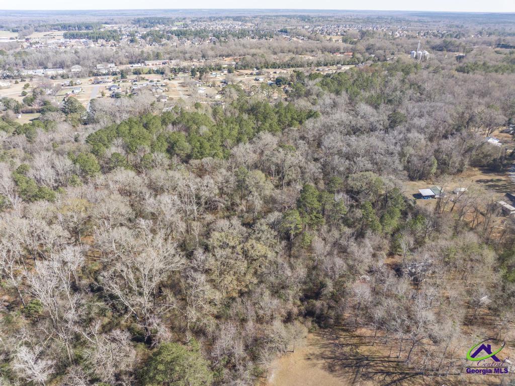 42.5 Old Perry Road Hawkinsville, GA 31036 - Photo 17 of 17