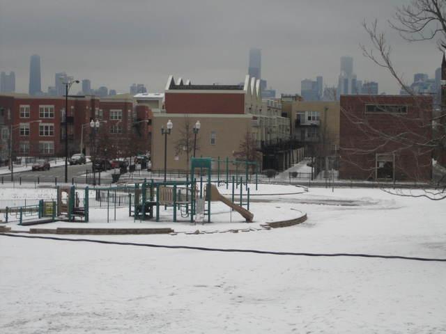 2337 West Maypole Avenue, Unit 1 Chicago, IL 60612 - Photo 13 of 14