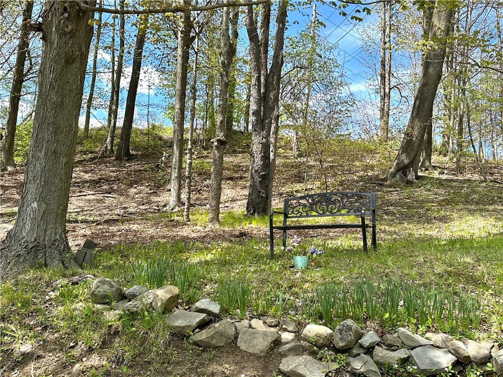 11535 Black Lock Road Naples, NY 14512 - Photo 6 of 36