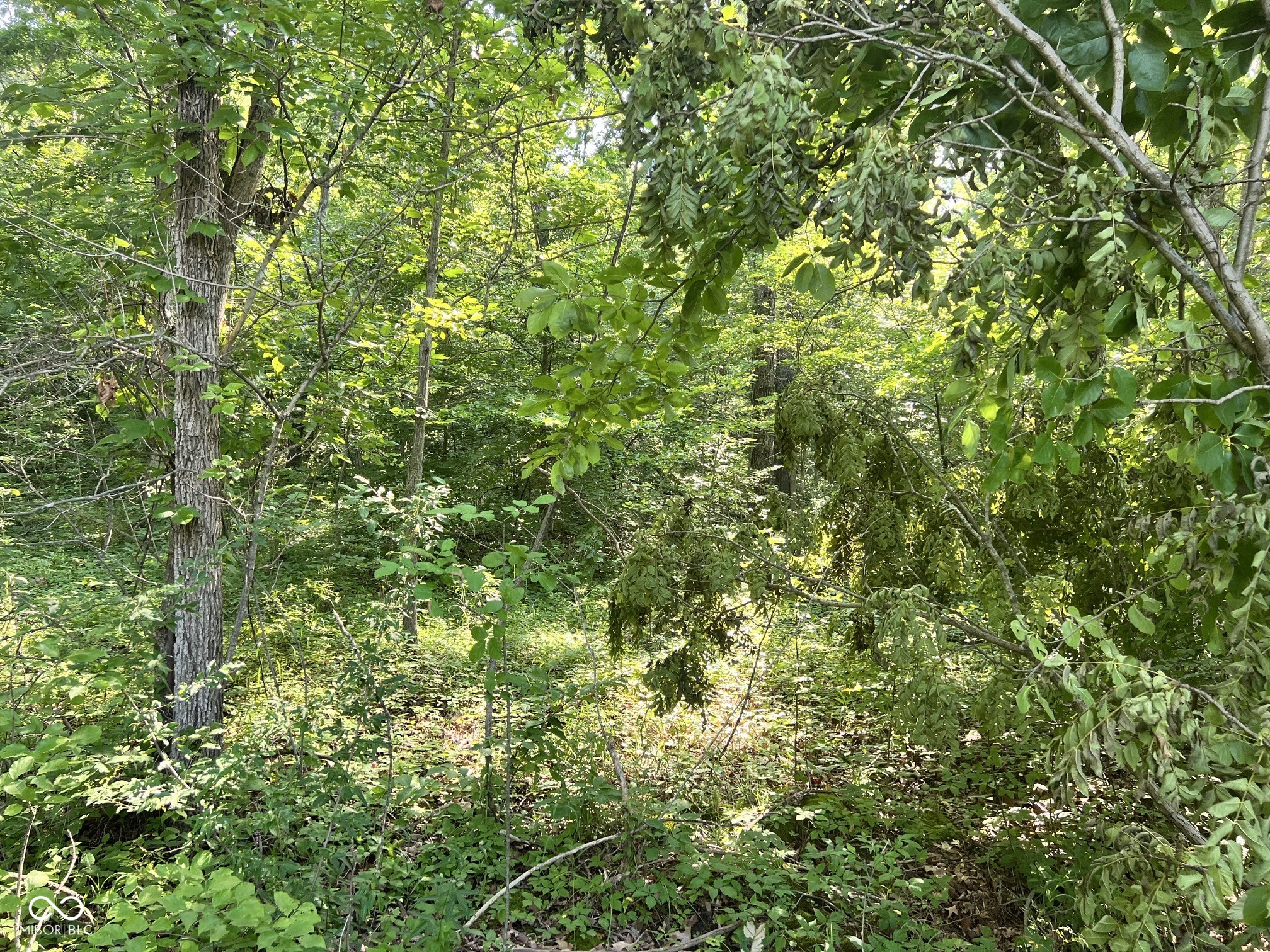 600 E Road Bloomfield, IN 47424 - Photo 6 of 7