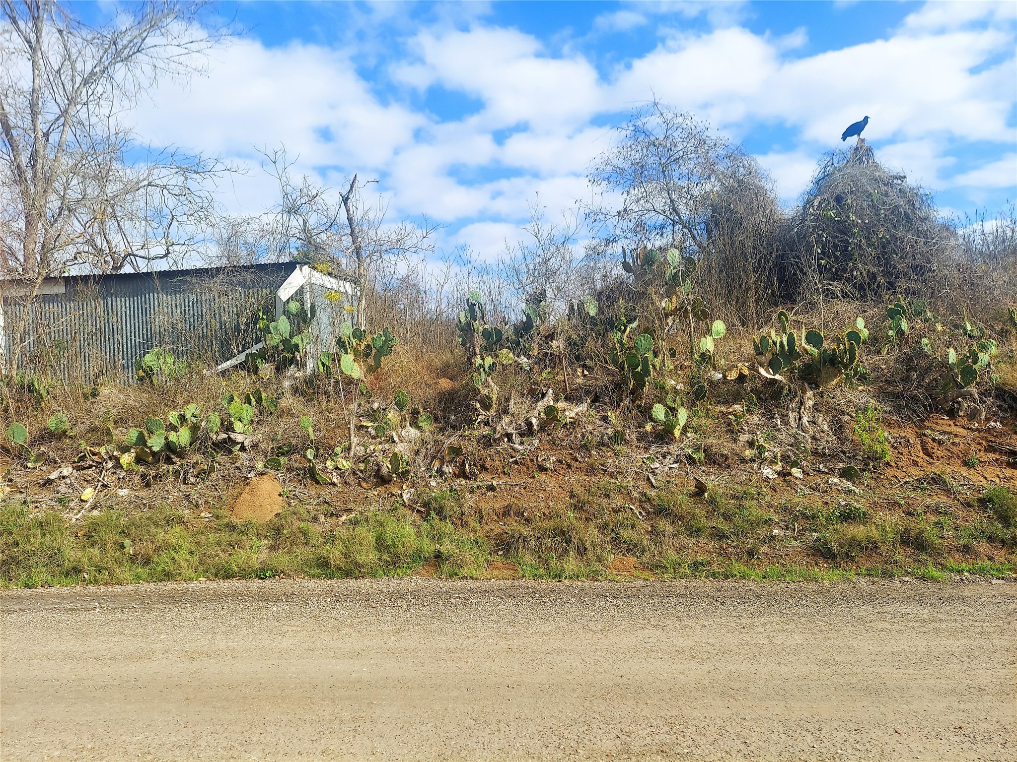 Tbd Young Road Smithville, TX 78957 - Photo 2 of 7