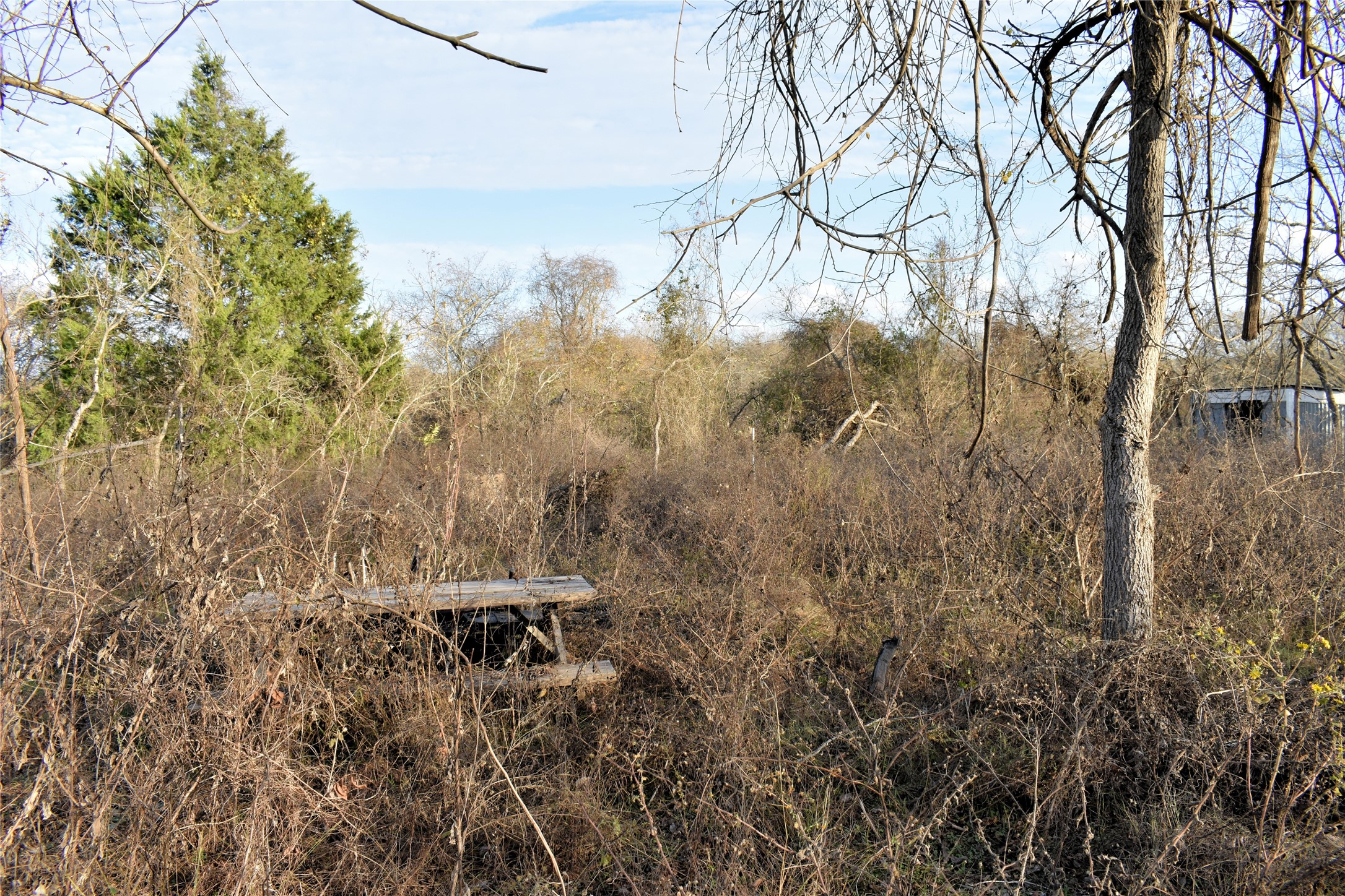 Tbd Young Road Smithville, TX 78957 - Photo 5 of 7