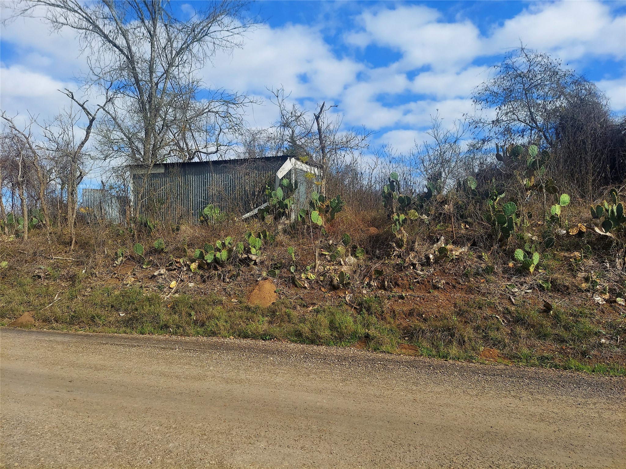 Tbd Young Road Smithville, TX 78957 - Photo 6 of 7