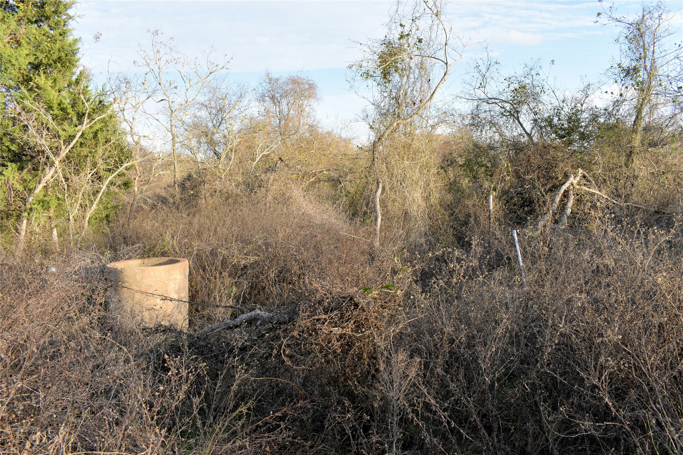 Tbd Young Road Smithville, TX 78957 - Photo 7 of 7