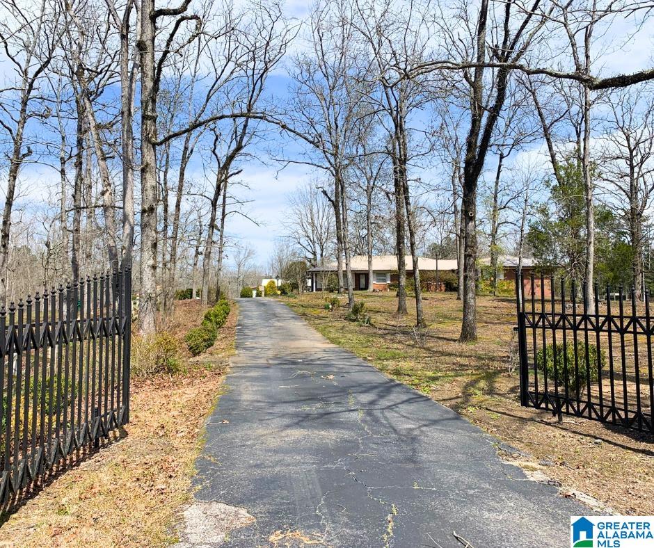 3745 Highway 144 Ohatchee, AL 36271 - Photo 4 of 47