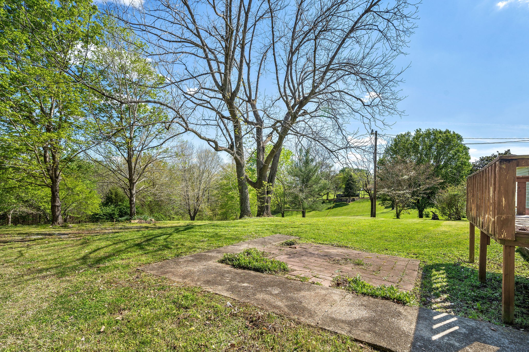2418 Lock B Road North Clarksville, TN 37043 - Photo 27 of 30 a view of a park with large trees