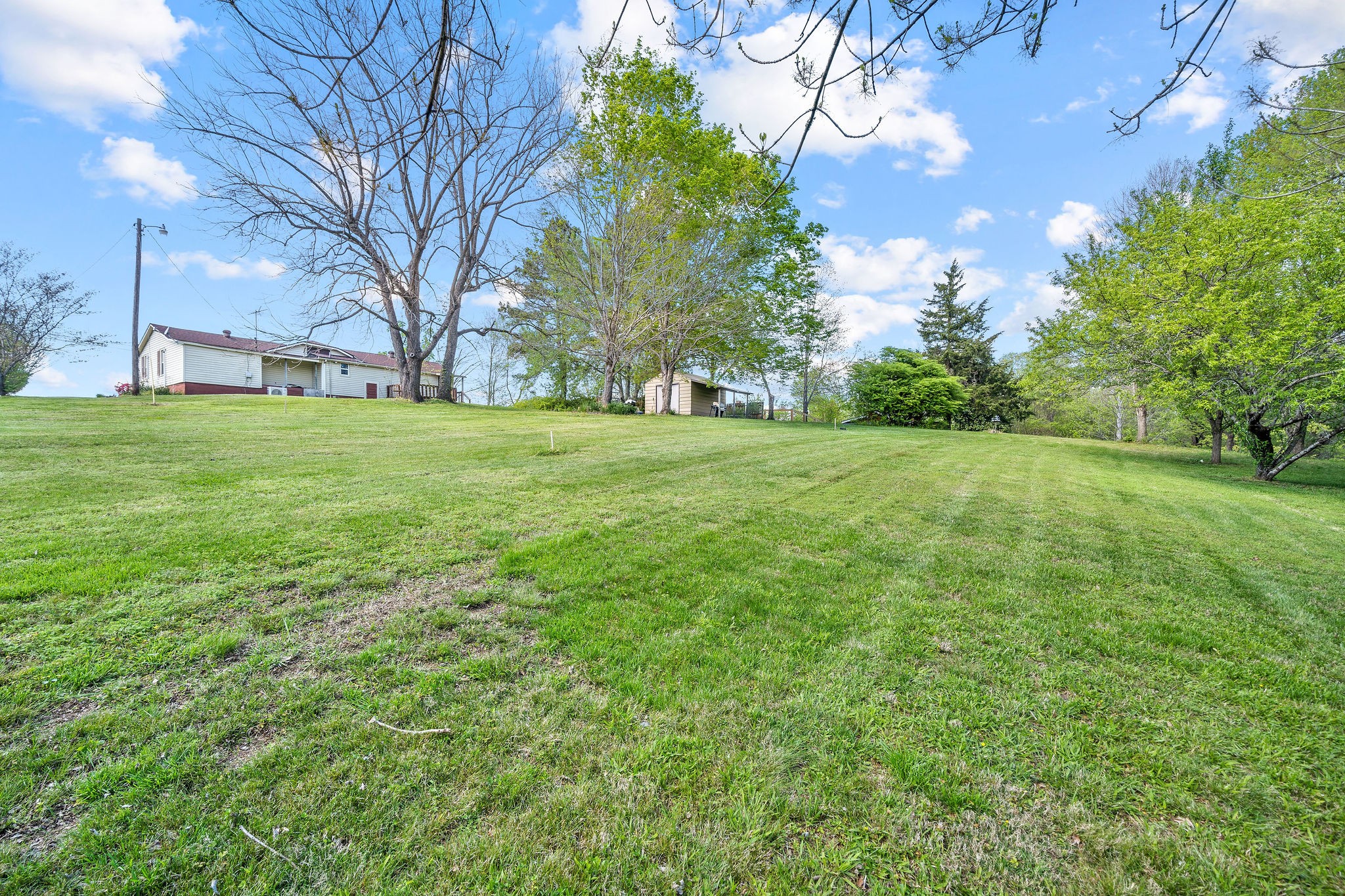 2418 Lock B Road North Clarksville, TN 37043 - Photo 29 of 30 a view of a big yard with plants and large trees