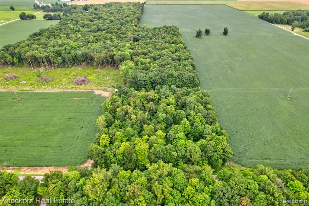 8000 Roedel Road Frankenmuth, MI 48734 - Photo 6 of 18